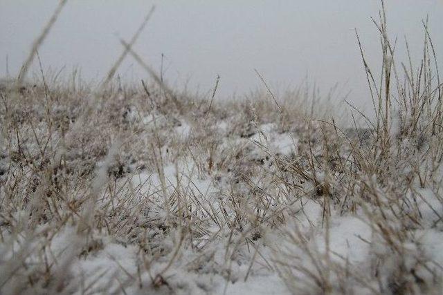 Ardahan’da Mevsimin İlk Karı Yağdı