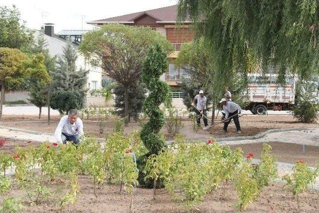 Büyükşehir’den Yeni Park