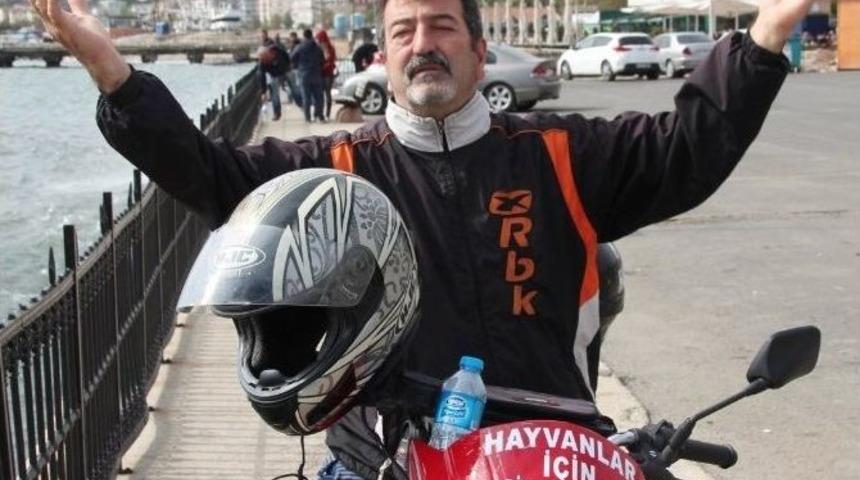 Hayvanlar İ&ccedil;in 10 Bin Kilometre