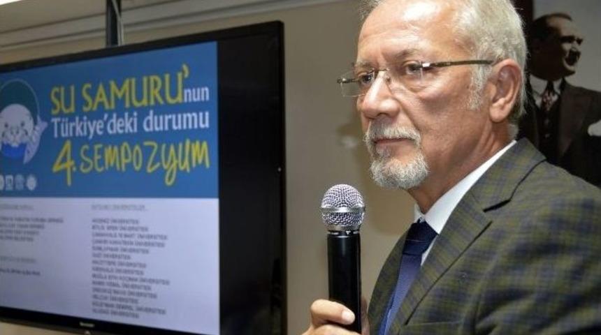 Su Samurları Suyun Kalitesini G&ouml;steriyor