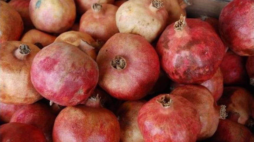 Siirt&rsquo;te Nar Hasadı Başladı