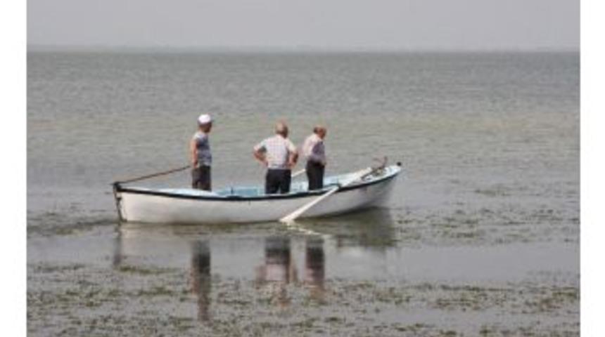 Bozbey: "uluabat Gölü Yok Olmaya Doğru Gidiyor"