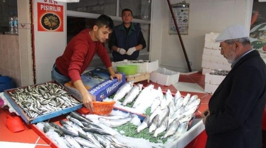 Balık Pazarında Deniz &Uuml;r&uuml;nleri &Ccedil;eşitliliği