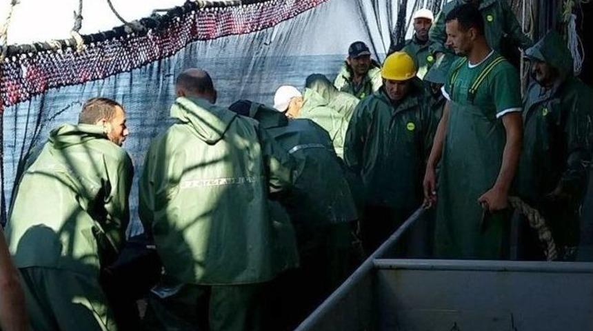 Balık Azlığının Sebebi Hava Şartları