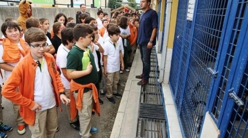 &Ouml;ğrencilerden Kedilere Villa