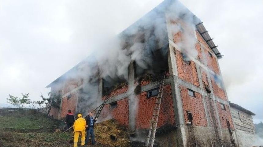 Kastamonu&rsquo;da 2 Bin Balya Saman İle 3 Ton Buğday Yandı