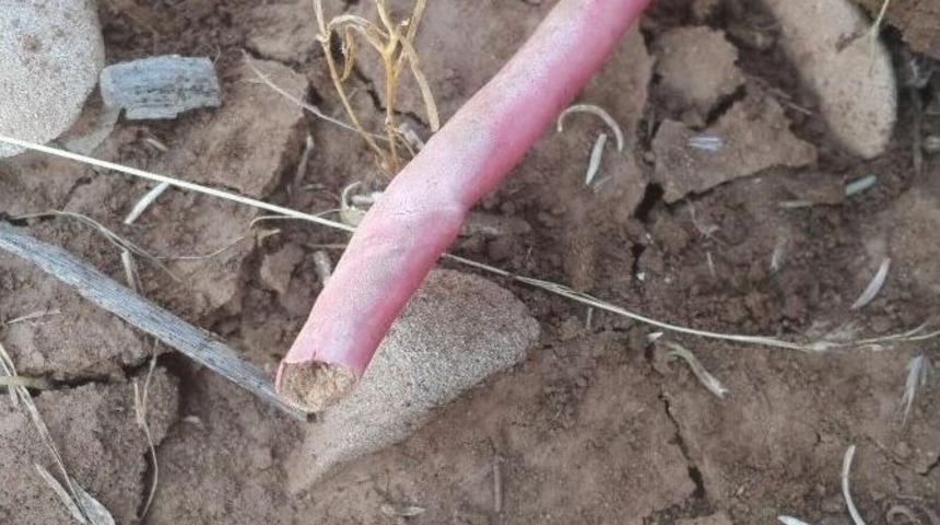 Şırnak&rsquo;ta &Ccedil;ok Sayıda Patlayıcı Ve M&uuml;himmat Ele Ge&ccedil;irildi