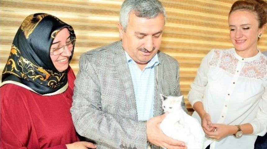 Başkan Baran, &ldquo;k&ouml;rfez&rsquo;deki Her Canlıyı D&uuml;ş&uuml;n&uuml;yoruz&rdquo;