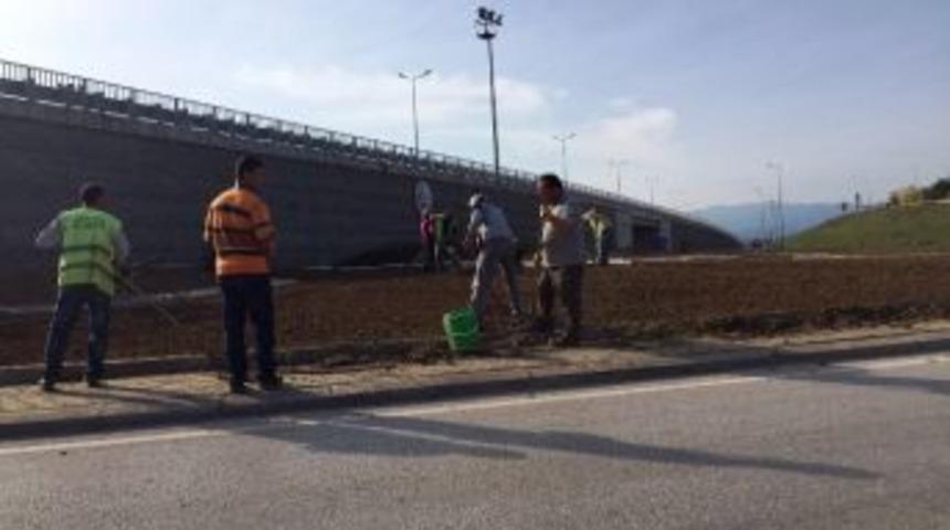 Kazukoğlu Kavşağı Renkleniyor