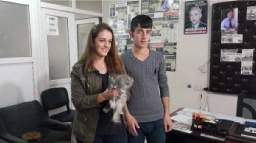 Yaralı Baykuşa Gazete &Ccedil;alışanı Sahip &Ccedil;ıktı