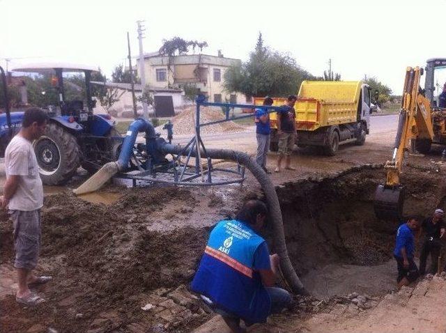 Aski, Kış Hazırlıklarını S&uuml;rd&uuml;r&uuml;yor 1