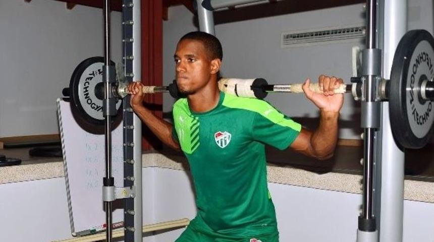 Timsah Kondisyon Depoladı