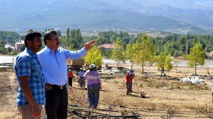 Seydişehir Belediyesi&rsquo;nden Park &Ccedil;alışması