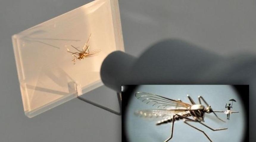 Mikroskobik Sergi Antalya&rsquo;da