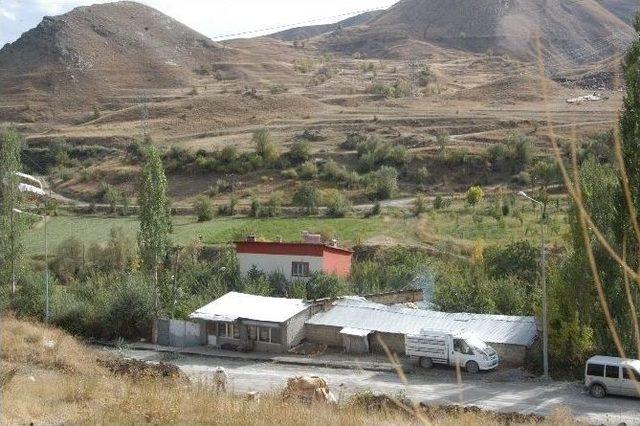 Hakkari’nin Karakovan Balı Piyasaya Çıktı