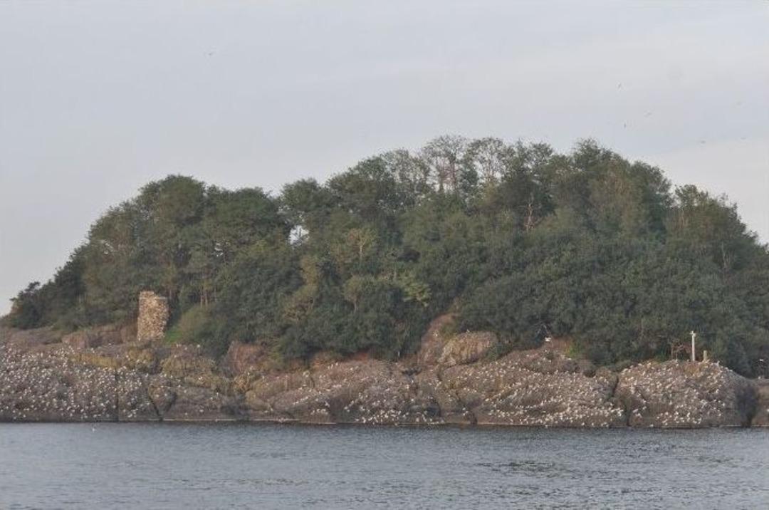 Giresun Adası&rsquo;ndaki Kazılarda &Ccedil;ıkan Kalıntılar Tarihe Işık Tutuyor