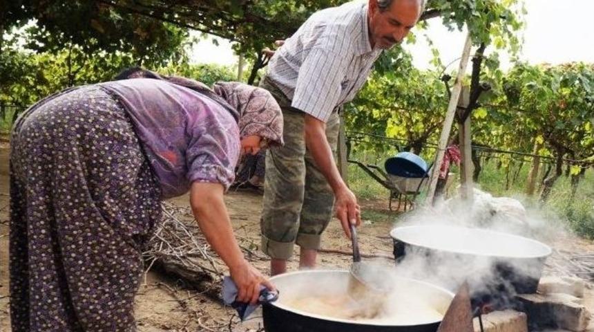 Sarıg&ouml;l&rsquo;de Doğal Pekmez Yapımına Başlandı