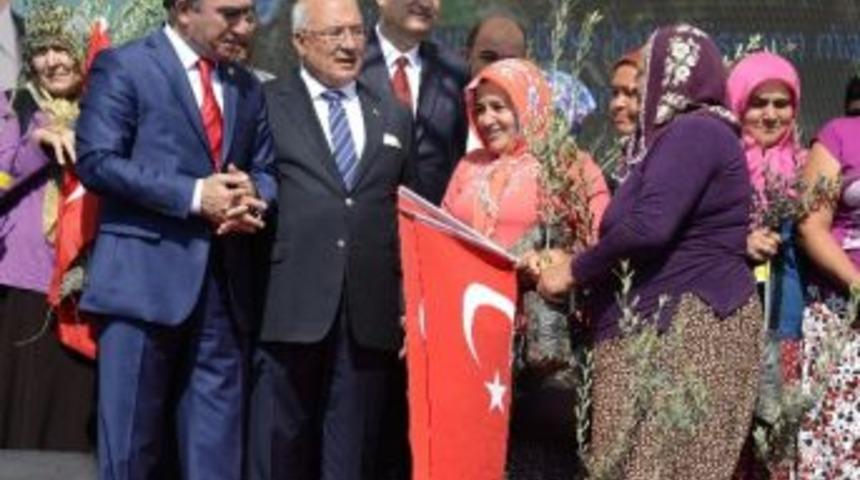 Kocamaz&rsquo;dan Kadın &Ccedil;ift&ccedil;ilere Zeytin Fidanı