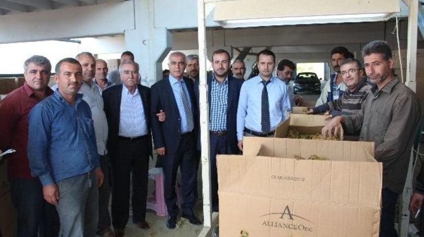 Samsat Belediye Başkanı Yusuf Fırat, "samsat T&uuml;t&uuml;n&uuml; Markalaşmalı"