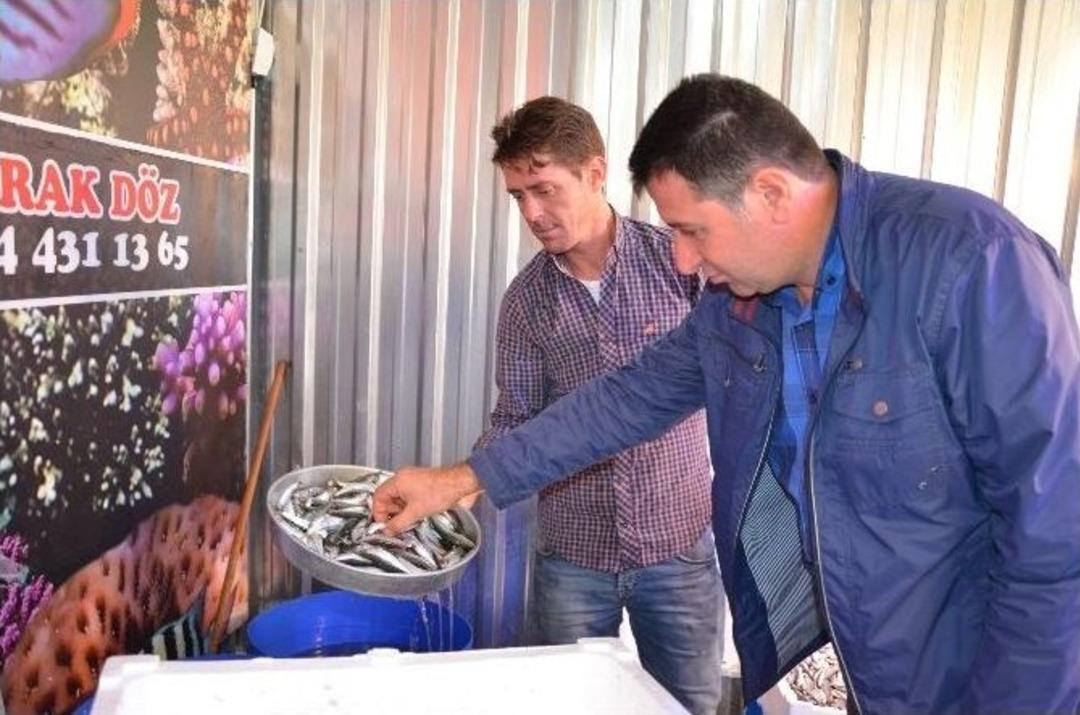 Balık Pazarında Denetim