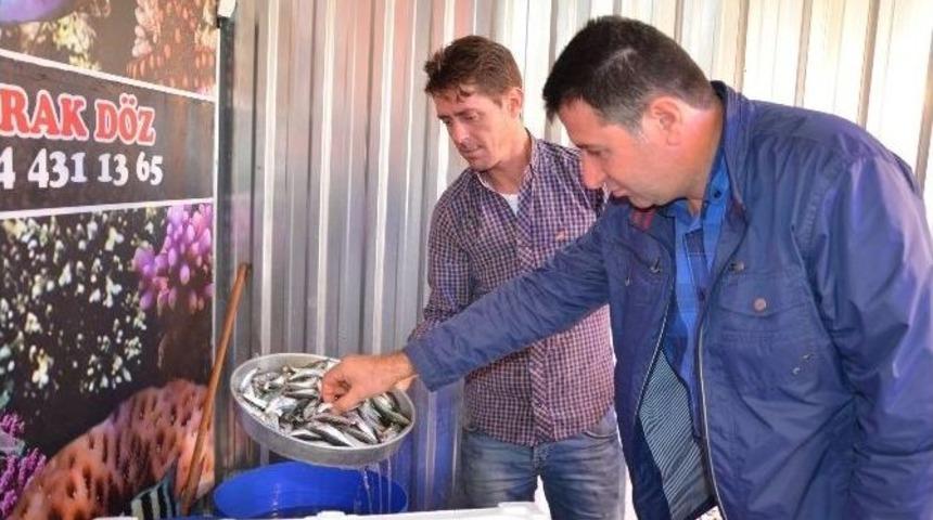 Balık Pazarında Denetim
