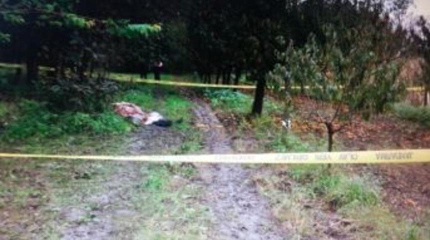 Tarlasında Ölü Bulundu