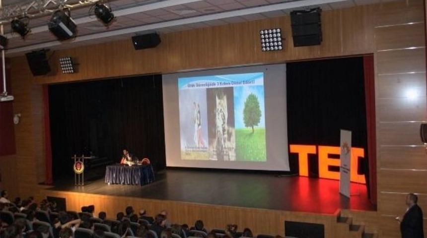 Ted Koleji, Seminer D&uuml;zenledi