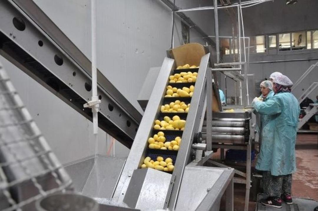 Bu Da Sandıklı Patates P&uuml;resi