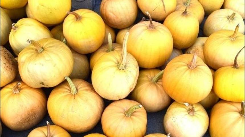 Kışlık Kabaklar Tezgahlardaki Yerini Aldı