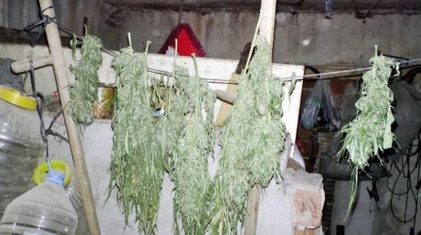 Mudanya&rsquo;da Uyuşturucu Operasyonu