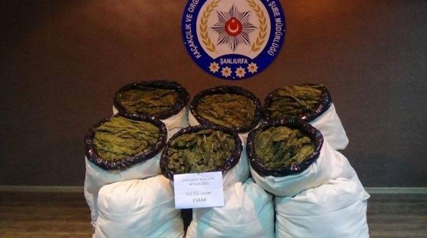 Şanlıurfa&rsquo;da 260 Kilo Esrar Ele Ge&ccedil;irildi