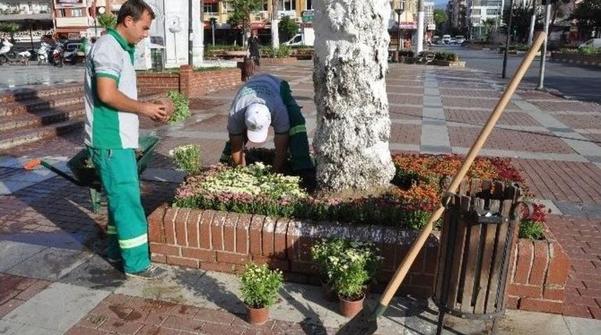 Nazilli&rsquo;de Kavşak, Orta Ref&uuml;j Ve Kaldırımlar Renkleniyor