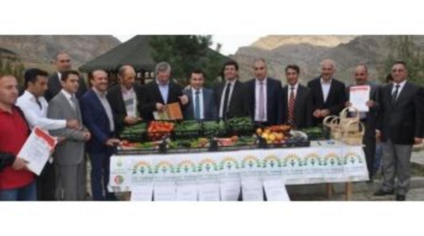 G&ouml;kten D&ouml;rt Elma D&uuml;şt&uuml; Projesi