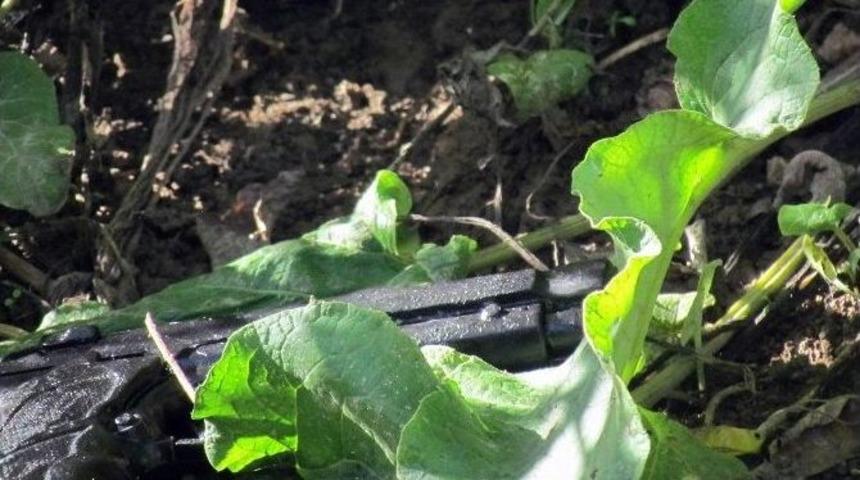 Tuzluca&rsquo;da Oyucak Silahlı Soygun