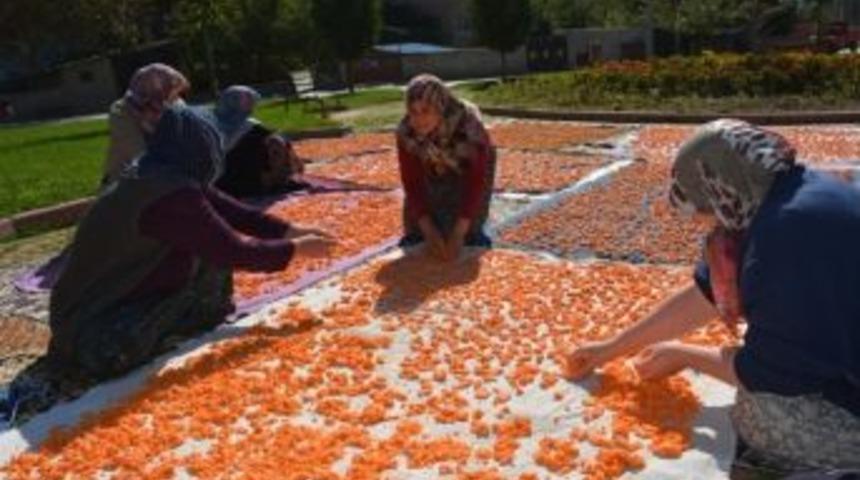 İmece Usul&uuml; Tarhana