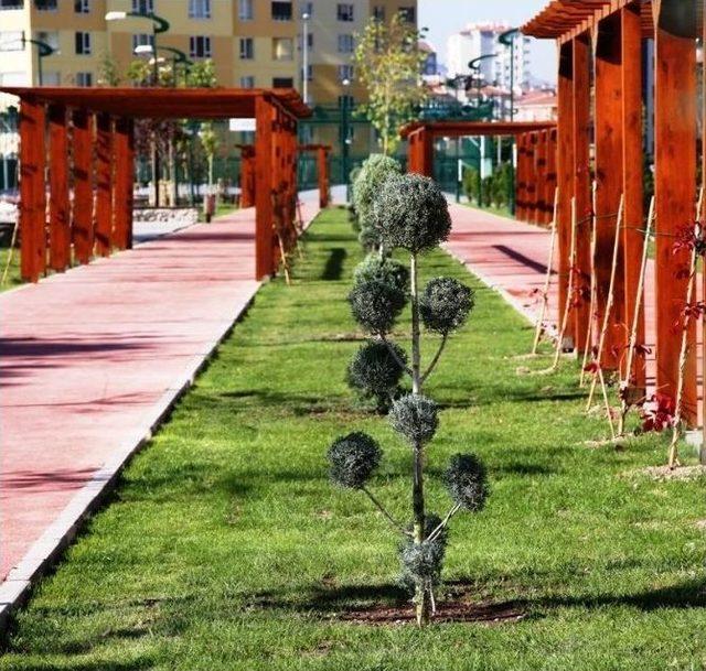 Kocasinan Gül Park’ı Açıyor