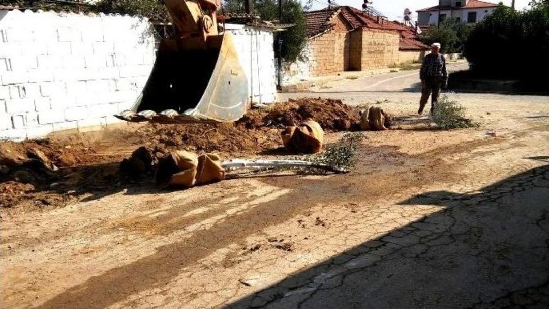 Yol &Ccedil;alışmasında Zeytin Ağa&ccedil;ları S&ouml;k&uuml;ld&uuml;