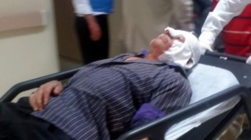 Ağa&ccedil;tan D&uuml;şen Yaşlı Adam Hastaneye Kaldırıldı