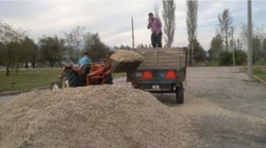 Besicilerin G&ouml;zdesi Yaş Pancar K&uuml;spesi