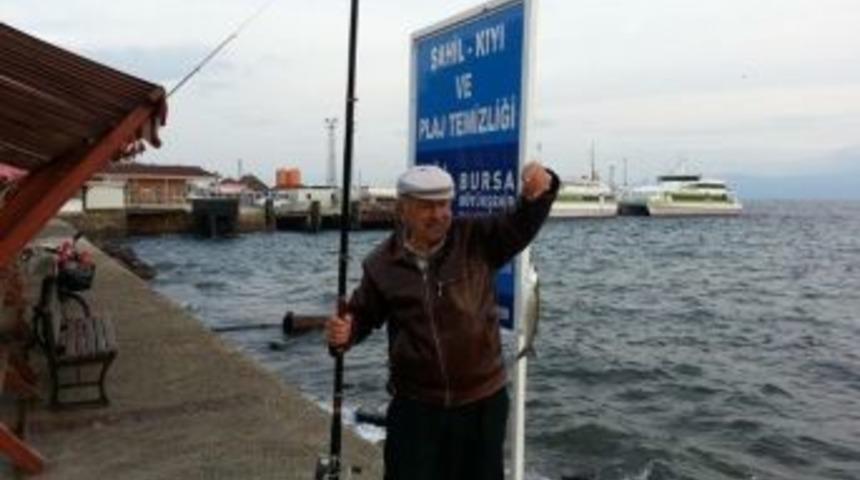 Kefal Bereketi Olta Balık&ccedil;ılarının Y&uuml;z&uuml;n&uuml; G&uuml;ld&uuml;rd&uuml;