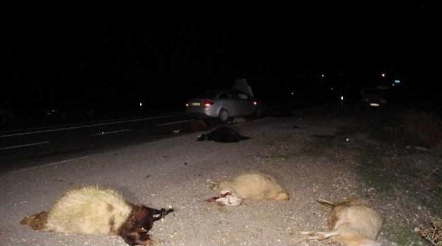 Otomobil Koyun S&uuml;r&uuml;s&uuml;ne &Ccedil;arptı: 15 Koyun Telef Oldu