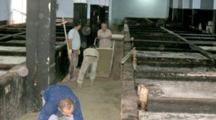 Zeytin Depolarında Hummalı &Ccedil;alışma