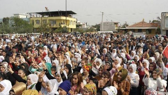 Hdp Şanlıurfa Milletvekili Osman Baydemir Salihli’de