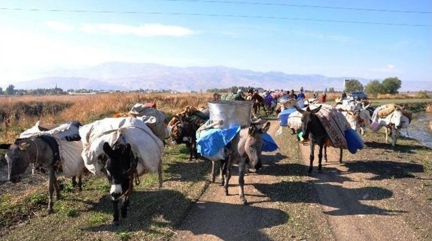 Yaylacıların Zorlu Yolculuğu