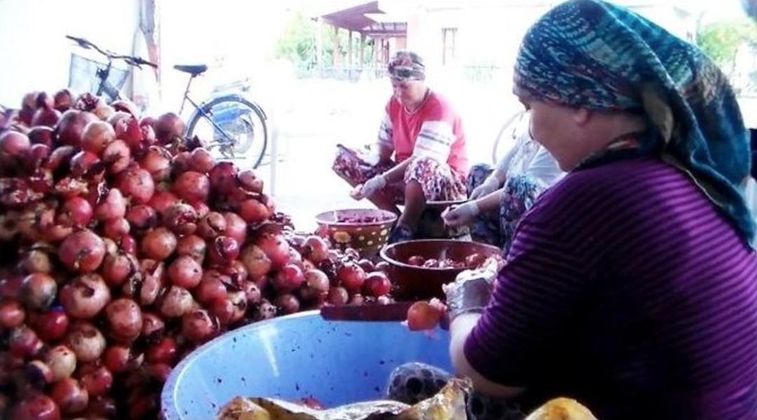 Anadolu Kadınının Elinden Şifa Akıyor