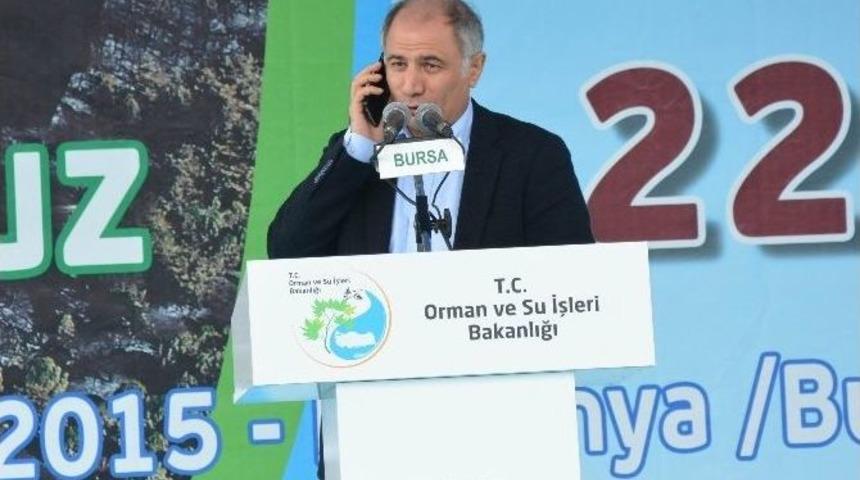 Yanan 170 Hektarlık Alana 110 Bin Ağa&ccedil; Ve 600 Kilogram Tohum Ekilecek