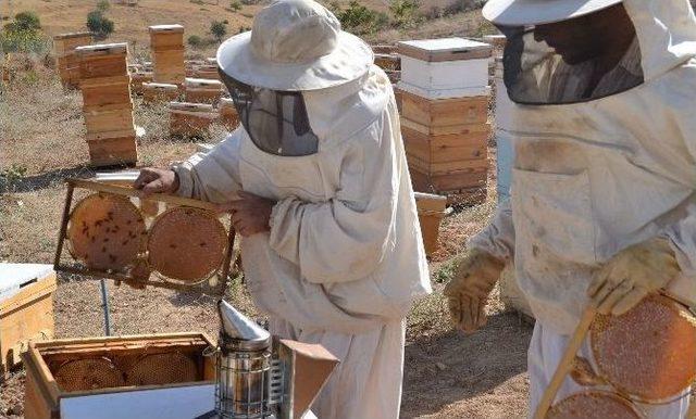 Pervari Karakovan Balı Piyasaya Çıktı