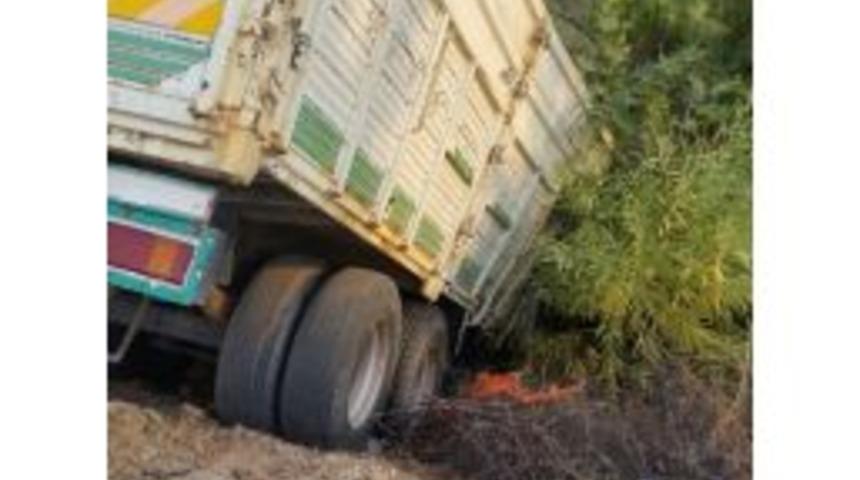 Mısır Y&uuml;kl&uuml; Kamyonet Şarampole Yuvarlandı