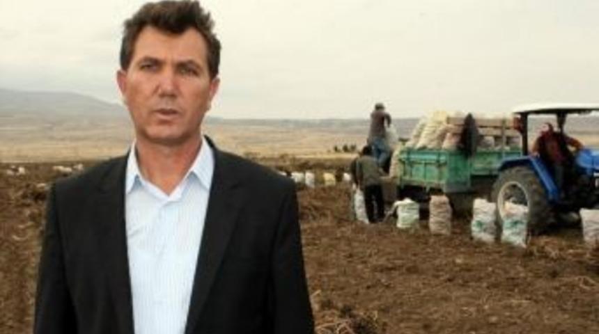 Niğde Lahana Üretiminde İkinci Sırada