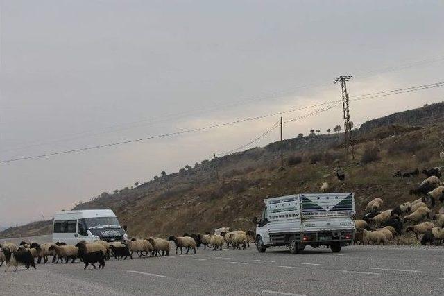 Siirt’te Yaylalardan Dönüşler Sürüyor